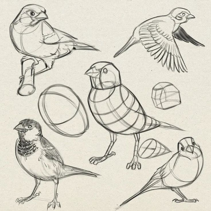 Example drawing